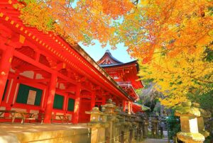 心を豊かにする神社仏閣のおすすめルート| 春日大社