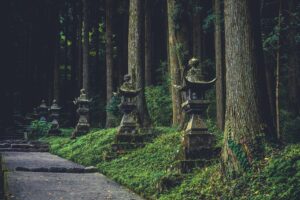 神社仏閣に学ぶ、心を豊かにする生き方のヒント２