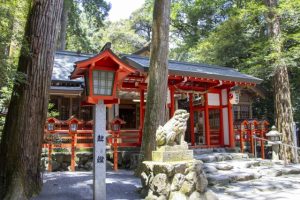 神社参拝時に体が熱くなる変化とその理由