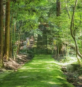 神社本庁の役割とは?離脱によるデメリットを深掘り
