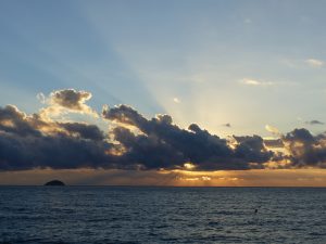 神社本庁離脱に潜むリスクとデメリットの実態