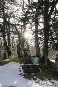 神社で写真に映る光の柱の主な理由