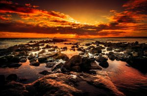 神社の左側通行を守る大切さと未来への展望