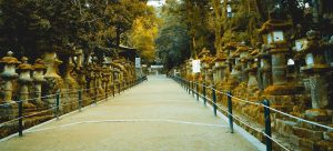 まとめ（総評）神社の左側通行の歴史的背景と意味を総括