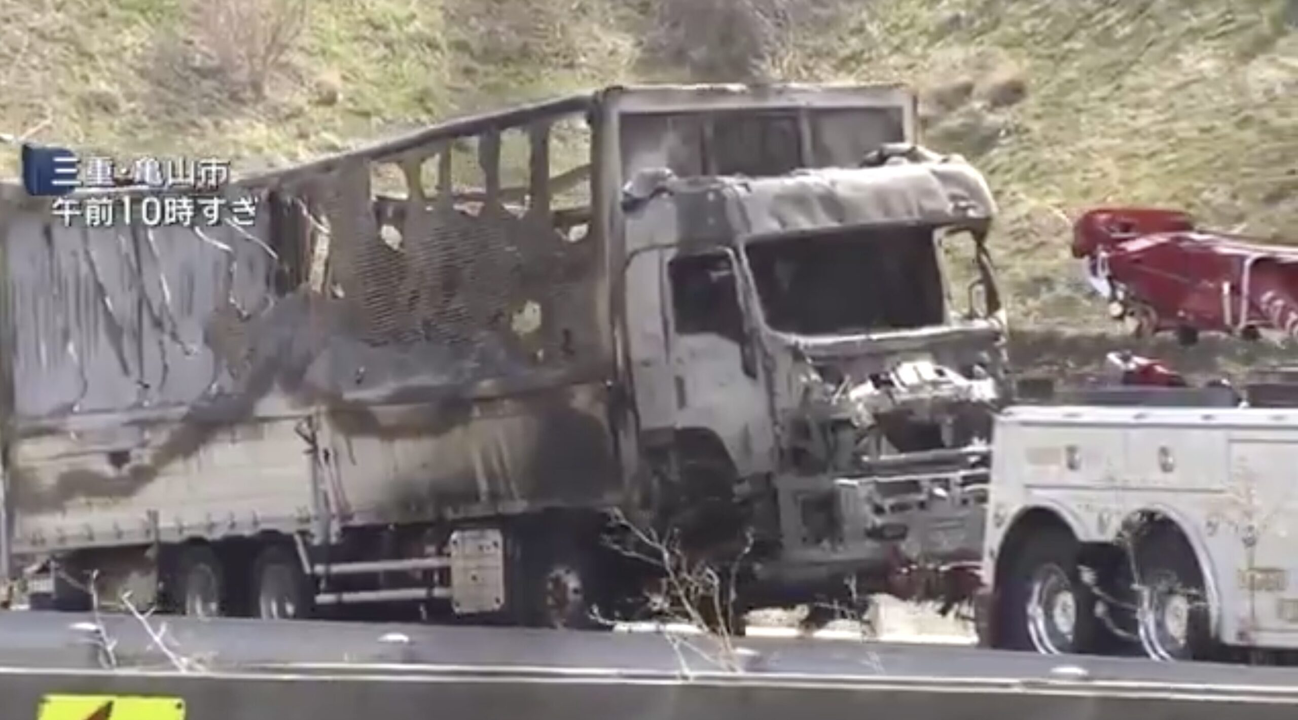 Check out Mizutani Mizuyo's face! Images posted on X