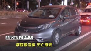 Reasons why the "principle of reliance" is unlikely to apply in the accident on National Route 14 in Chiba