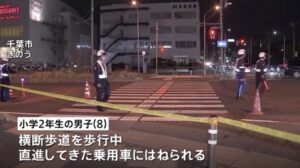 Percentage of fault and criminal liability in "double accidents" based on similar past cases