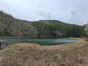 Surrounding research information: A common "place" revealed by gathering opinions from 100 fortune tellers and psychics.